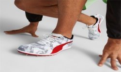 Allround Puma by AVOSMARQUES