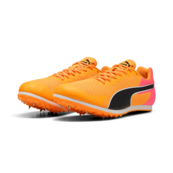 Allround Puma by AVOSMARQUES