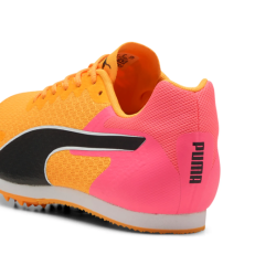Allround Puma by AVOSMARQUES