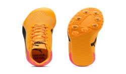 Allround Puma by AVOSMARQUES