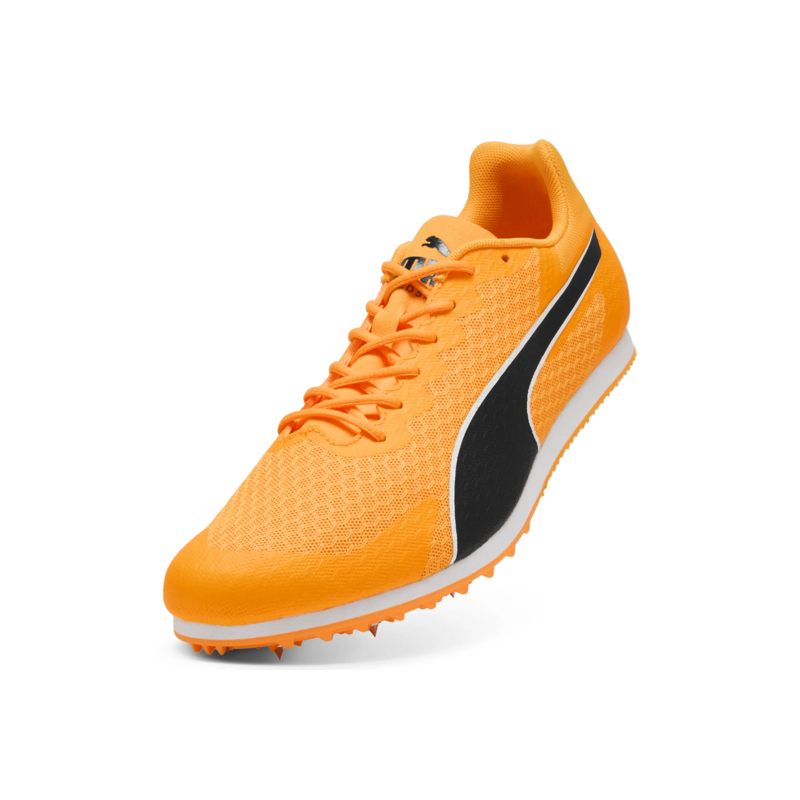 Allround Puma by AVOSMARQUES