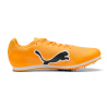 Allround Puma by AVOSMARQUES