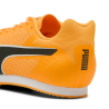 Allround Puma by AVOSMARQUES