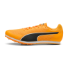 Allround Puma by AVOSMARQUES