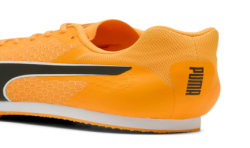 Allround Puma by AVOSMARQUES