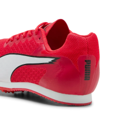 Allround Puma by AVOSMARQUES