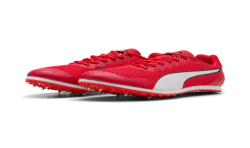 Allround Puma by AVOSMARQUES