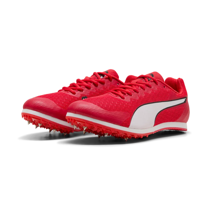 Allround Puma by AVOSMARQUES