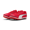 Allround Puma by AVOSMARQUES