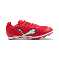 Allround Puma by AVOSMARQUES
