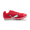 Allround Puma by AVOSMARQUES