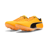 Sprint Puma by AVOSMARQUES
