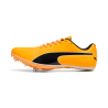 Sprint Puma by AVOSMARQUES