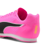 Allround Puma by AVOSMARQUES