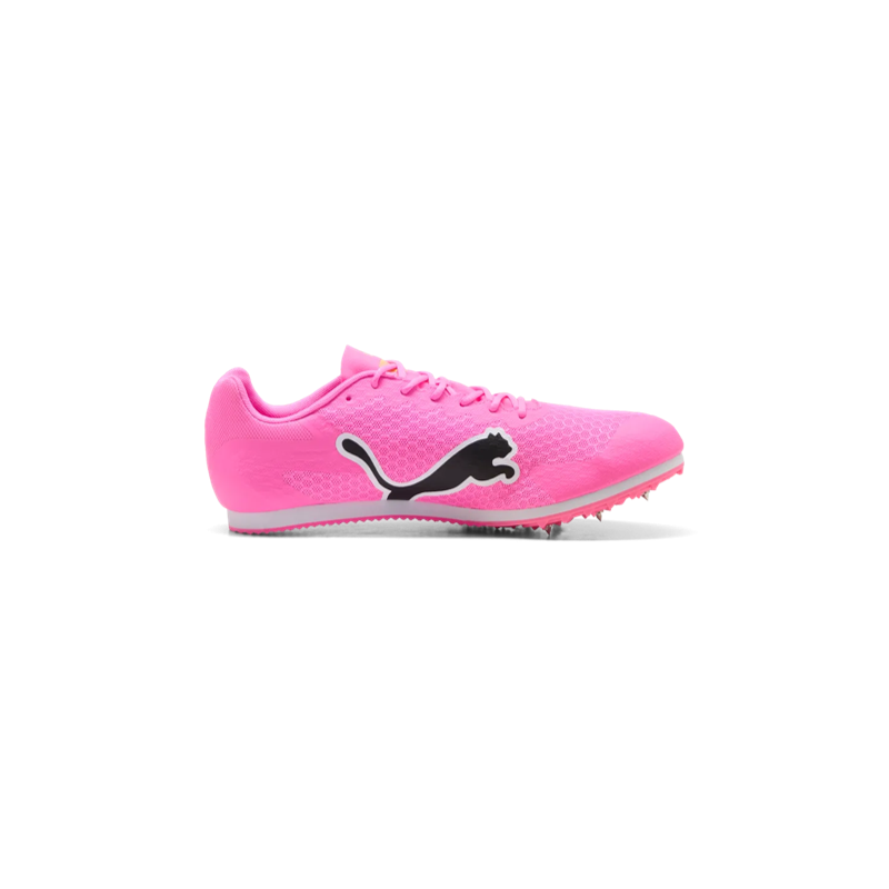 Allround Puma by AVOSMARQUES