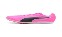 Allround Puma by AVOSMARQUES