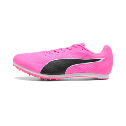 Allround Puma by AVOSMARQUES