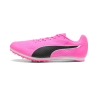 Allround Puma by AVOSMARQUES