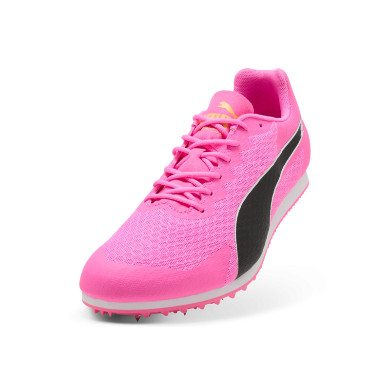 Allround Puma by AVOSMARQUES