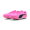 Allround Puma by AVOSMARQUES