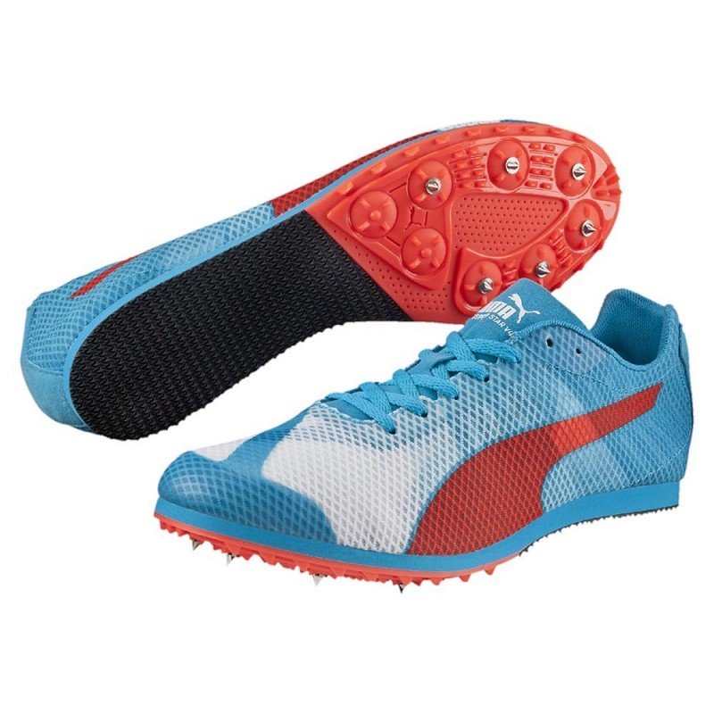 Allround Puma by AVOSMARQUES