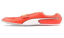 Longueur PUMA by AVOSMARQUES