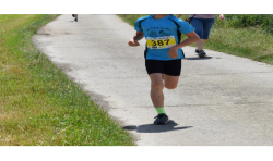 Dossard by AVOSMARQUES