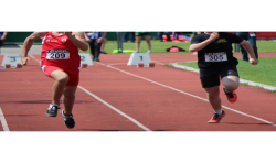 Dossard by AVOSMARQUES